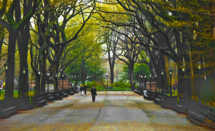 NY- It wants to be Spring in Central Park