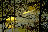 NY- Upper Westside Nightshots and Christmas Windows