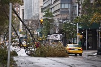 NY- Hurricane Sandy, The Morning After