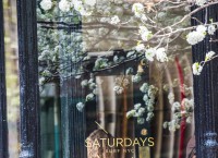 NY- A smorgasbord of blossoms and assorted novelties