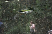 NY- The reflections, angles, storefronts and puddles in Greenwich Village