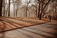 NY- Central Park on a cold, sunny,  foggy kind of day
