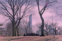 NY- Central Park Spring Warmup