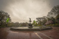NY- April Showers Bring May Carbon Dioxide Offsets