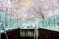 NY- March Snow on the High Line.