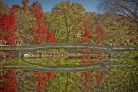 Central Park Fall Color Explosion