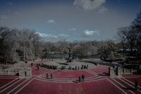 NY- February in Central Park