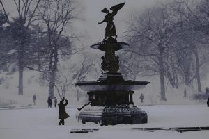 New York Parks